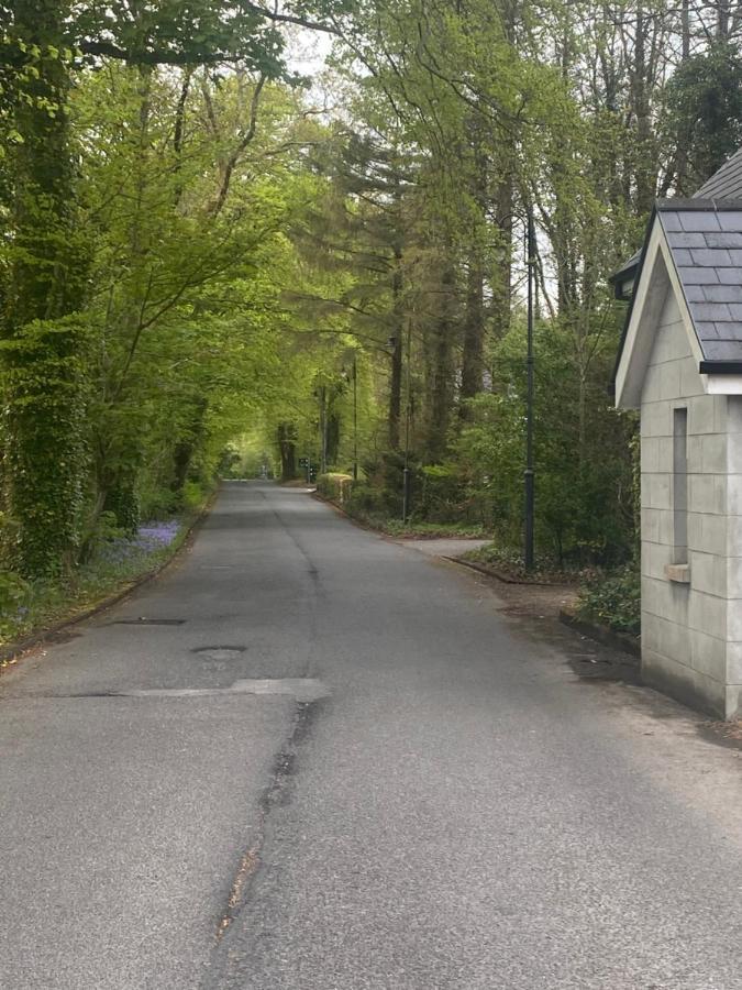 شقة 3 The Courtyard Castle Dargan Ballygawley المظهر الخارجي الصورة